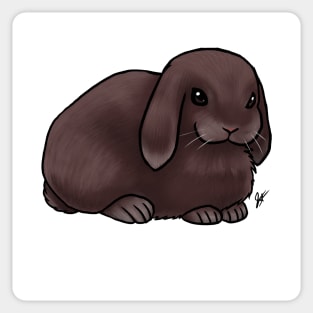 Small Mammal - Rabbit - Holland Lop Brown Sticker